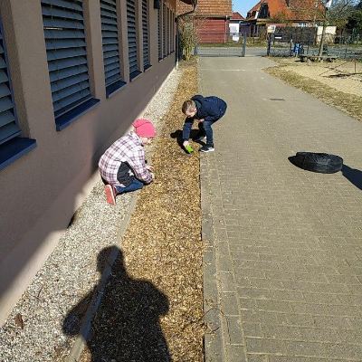 kinder mulch